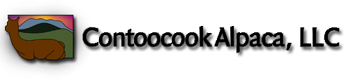 A black and white image of the word cook.