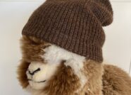 Waffle Alpaca Beanie