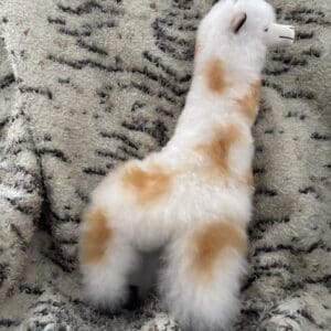 A stuffed animal is sitting on the couch.