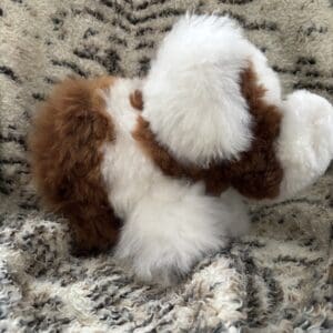 A stuffed animal is sitting on the couch