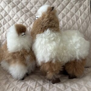 Two sheep are sitting on a chair