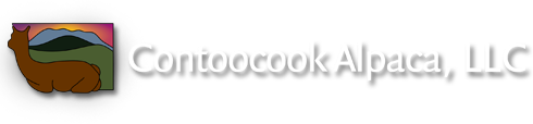 A green background with the word " toocook ".