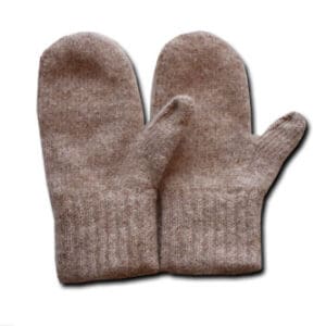 A pair of mittens are shown in this picture.
