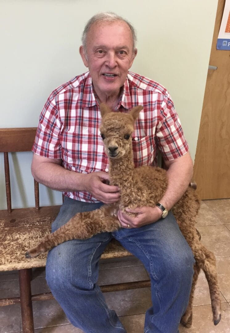 A man holding a small dog on top of a bench.