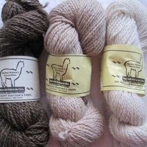 Three skeins of yarn with a label on them.