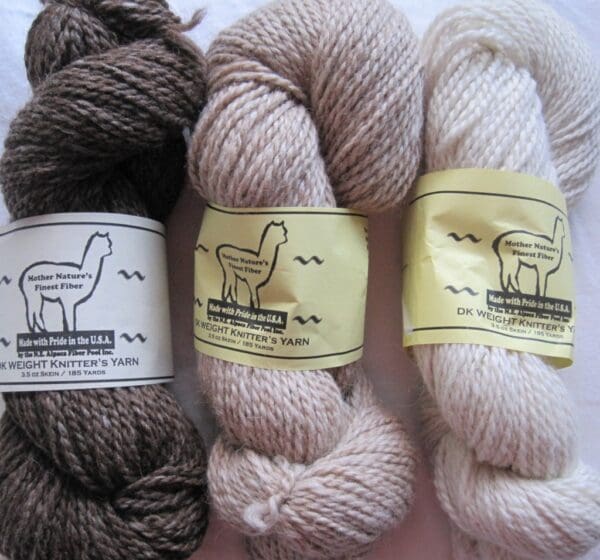 Three skeins of yarn with a label on them.